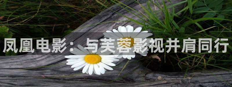 鳌江私人影院：凤凰电影：与芙蓉影视并肩同行