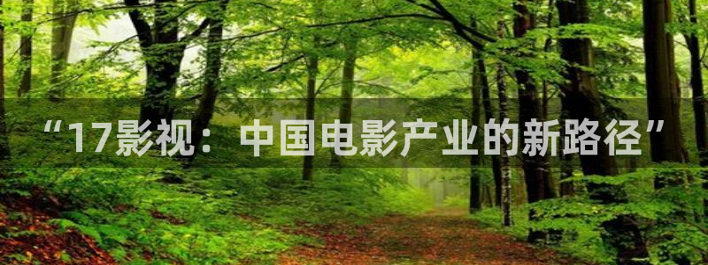 080私人影院：“17影视：中国电影产业的新路径”