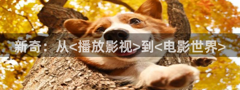 成人私人家庭影院